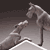 Dogs