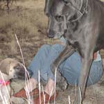 I wasn't expecting this...