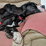 Can you hear me now?