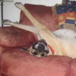 Getting comfortable