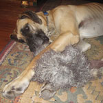 I like toys