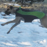 Airborne