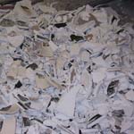 The shells are broken