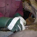 Fine details are restored